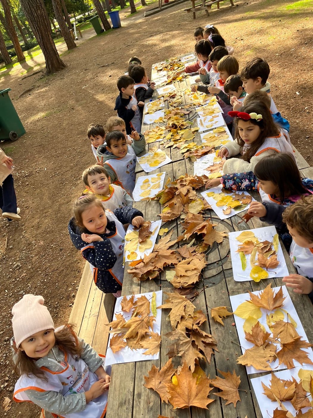 Sonbahar temalı çerçeve el sanatı etkinliği